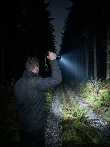 Forêt, sentier, un geste